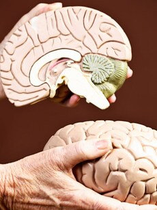 These 10 activities will boost brain health, keep your mind sharp