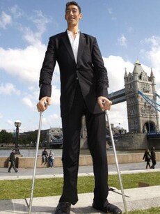 World’s 8 Tallest People: From John “Bud” Rogan to Sultan Kösen.