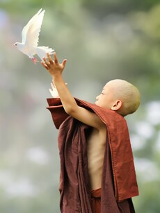 10 Must-Know Buddhist Secrets to a Happier Life