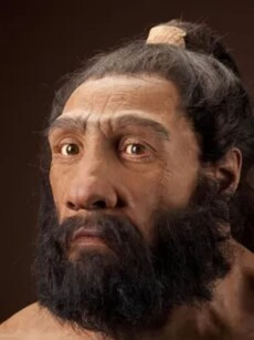 Neanderthals: 10 Facts About Our Extinct Human Relatives