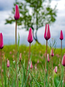 5 Best Budget-Friendly Getaways for the Eid Long Weekend in India