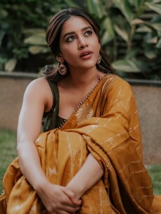 Top 10 ethnic looks of South Indian beauty Nabha Natesh