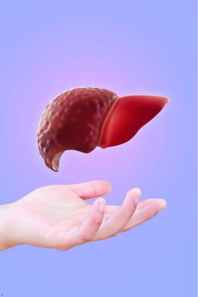 இயற்கையாகவே கல்லீரலில் உள்ள கொழுப்பை குறைத்து அதன் ஆரோக்கியத்தை ஆதரிக்கும் 10 உணவுகள்.!