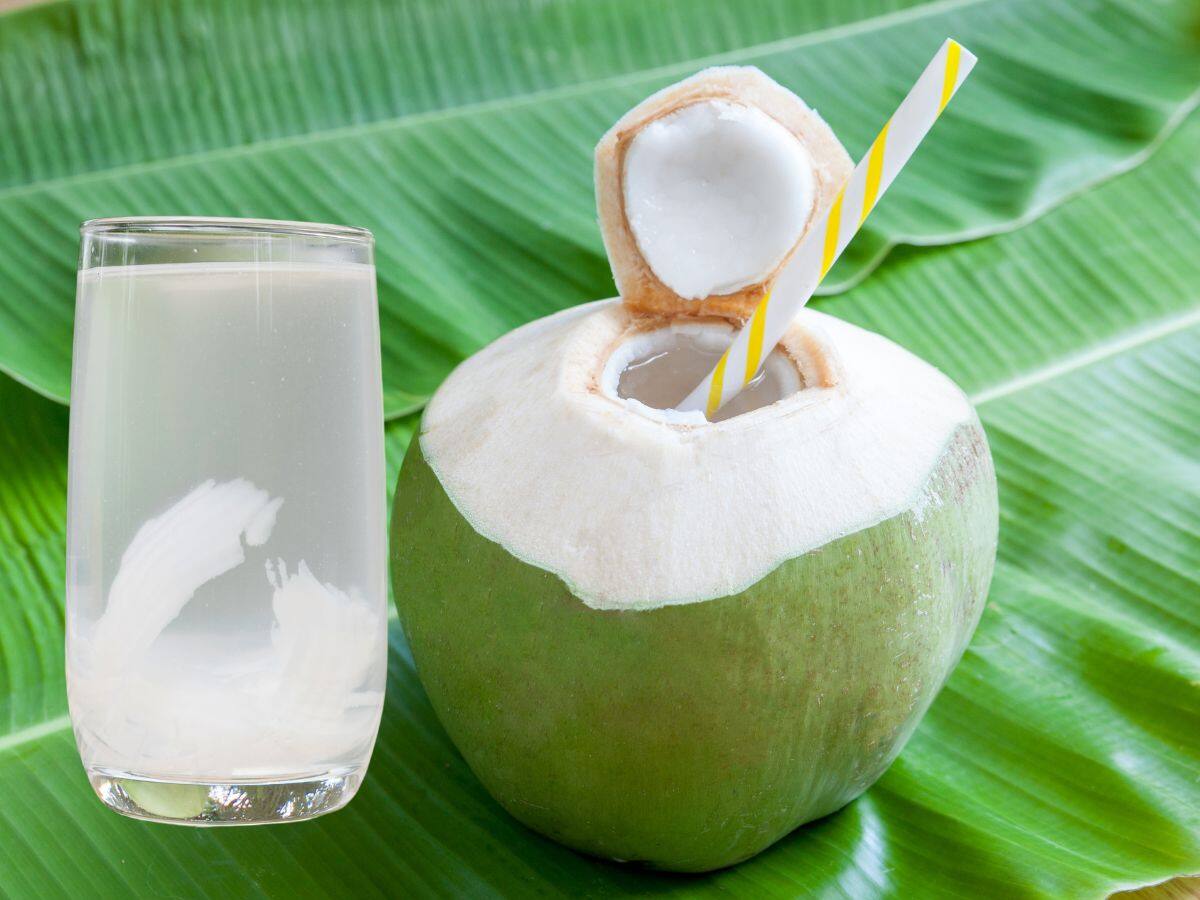 આ રીતે નાળિયેર પાણી પિતા હોવ તો થઈ જાઓ સાવધાન!