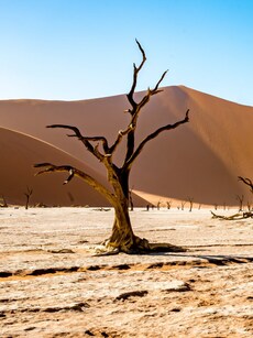 10 Hottest Places in India to Avoid This Summer