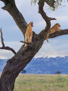 Bucket List Travel: 7 Places to See Before You Die