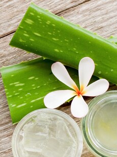 9 ways aloe vera boosts digestion, detoxification, more