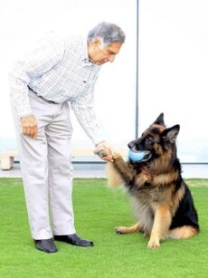Meet Tito: Ratan Tata’s Dog Who Got Rs 12 Lakh in His Will