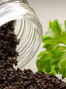 9 Health benefits of black poppy seeds for sleep, skin, digestion