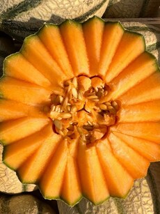 10 health benefits of Muskmelon, nutrition facts, much more