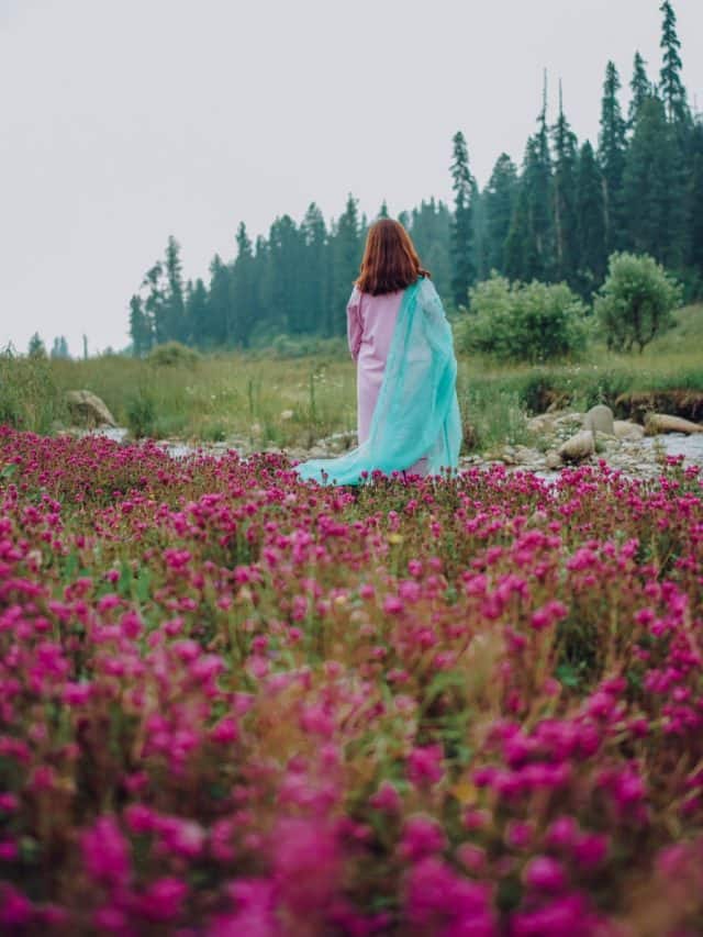 Kashmir Spring Fall Kashmir in Spring: 5 Blooming Escapes You’ll Fall in Love With