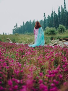 Kashmir in Spring: 5 Blooming Escapes You&rsquo;ll Fall in Love With