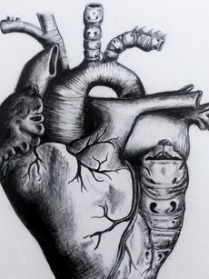 10 early signs of heart disease, risk factors that weaken heart