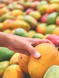 Buying mangoes? How to identify chemically ripened fruits