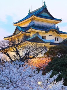 5 Best Day Trips From Osaka During Expo 2025