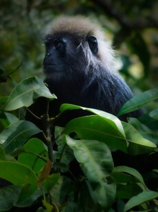 Top 10 Wildlife Places to Visit in April in India