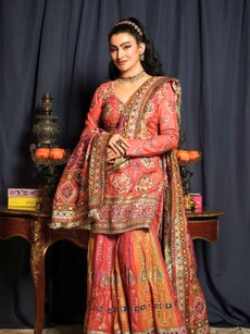 Shalini Passi&rsquo;s fabulous life: See her stunning Indian ensembles