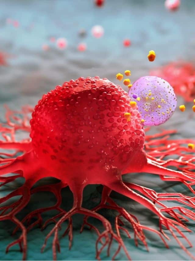 Cancer | புற்றுநோயின் வகைகளும்.. வராமல் தடுப்பதற்கான வழிமுறைகளும்!!