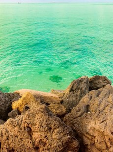 10 Breathtaking Monsoon Getaways in Gujarat You’ll Fall in Love With