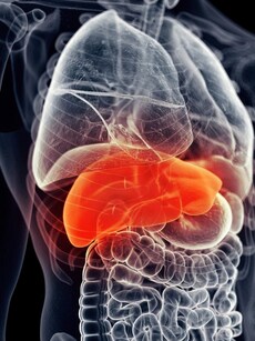 Diet tips: 5 healthy fruits that detox liver, reduce fat buildup