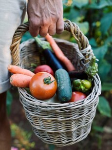 How to buy and store fresh vegetables: 10 things to keep in mind