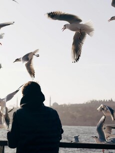 Reduce stress, stay calm: 9 health benefits of birdwatching