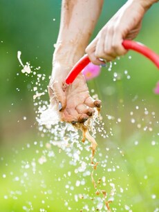 Best exercise: 10 amazing health benefits of gardening