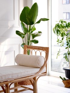 10 minimalist home decor tips to add calm, and style in your life