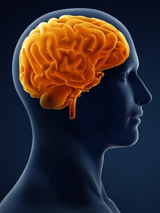 10 Foods that Supercharge Your Brain When Combined with Almonds