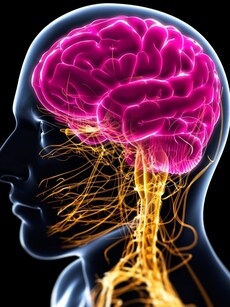 10 causes and symptoms of brain tumour you must know