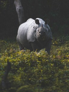 8 Best Tourist Places in Assam You Shouldn’t Miss