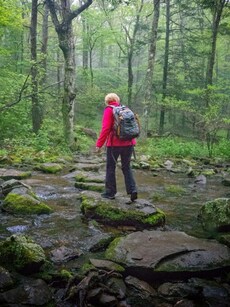 10 Best National Parks in India for Hiking Trails