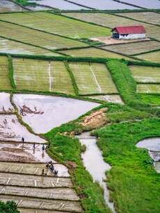 10 Magical Meghalaya Spots Perfect for a Dreamy Honeymoon Escape