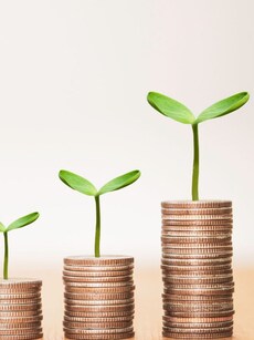 Upcoming Dividends: Check Stock Name and Record Date