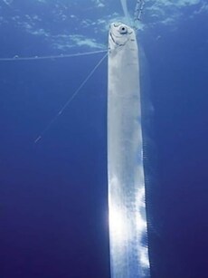 Meet Doomsday Fish: Mysterious Fish Linked to Disasters Spotted in India