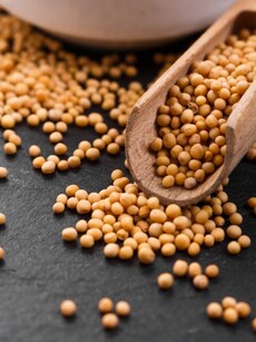 10 health benefits of mustard oil: Monsoon home remedy hero