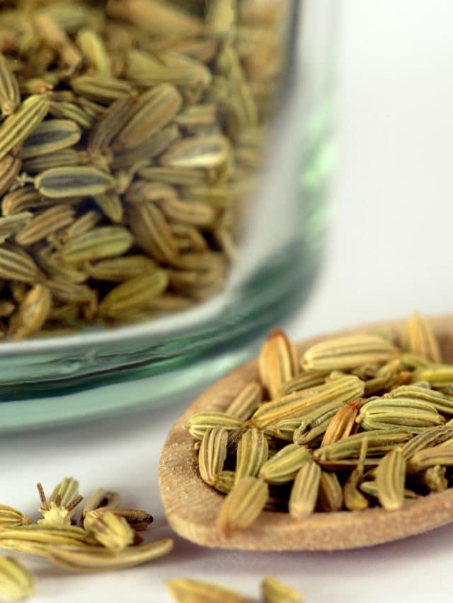 Saunf after meals? Grandma knows why, here are 10 powerful health benefits