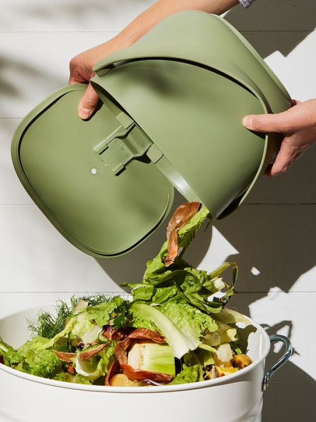 World Environment Day 2025: Turn kitchen trash into green gold with these 10 tips
