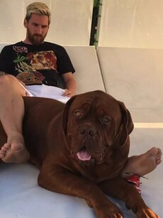 Messi&rsquo;s &lsquo;Hulk&rsquo; to Hamilton&rsquo;s &lsquo;Roscoe&rsquo;: Athletes and their favourite pets