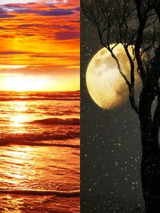 Early Morning or Late Night? Which is Better for Study