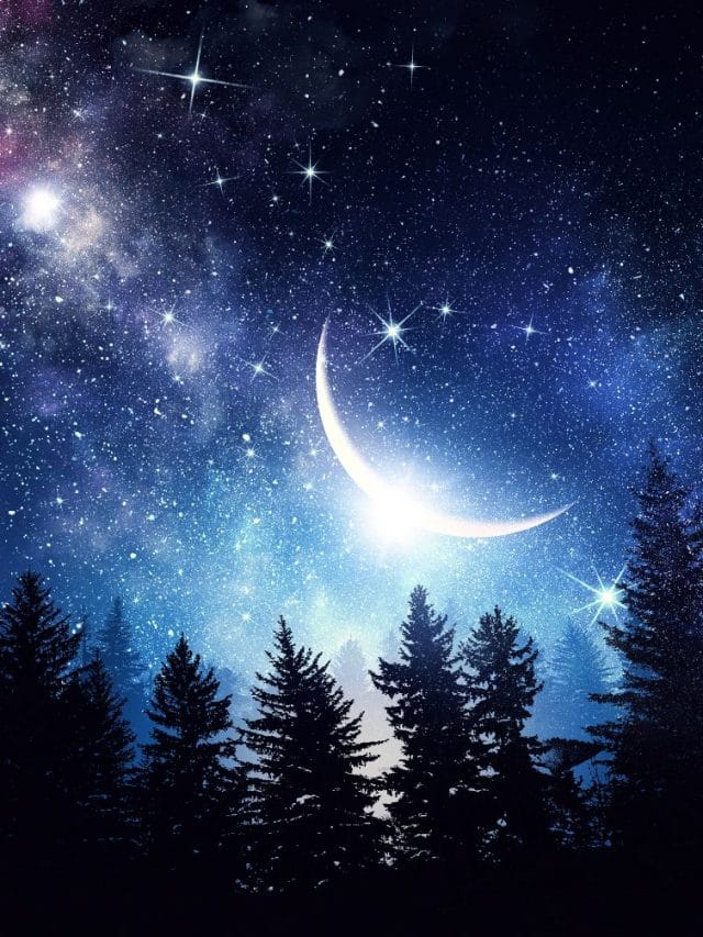 Upcoming Stargazing Events