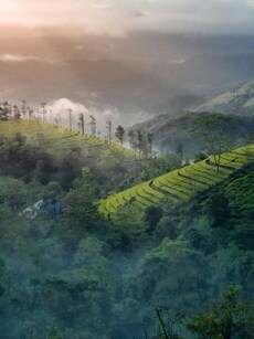 10 Best Monsoon Destinations In South India For A Rainy Getaway