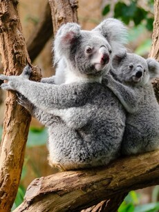 11 Countries Starting With ‘A’—How Many Have You Visited?