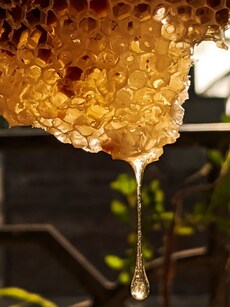 10 Health Benefits  and Easy Meal Additions of Honey