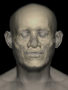 Buried Secrets: 10 Facts Unearthed from Egypt’s Oldest Human Genome