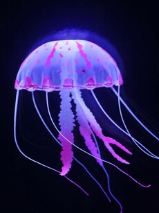 10 ‘Heartless’ Animals That Live Without a Heart