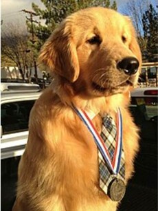 10 Animals That Were Politicians and Voted Into Office