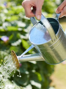 10 daily moderate-intensity activities that count as real exercises