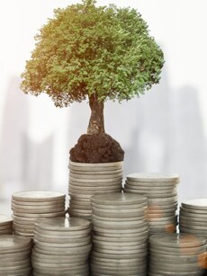 What Led to Sharp Jump in Stocks of Paper Companies in India?