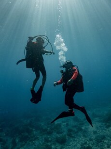 9 Wild Adventures in India That Go Beyond the Tiger Trails